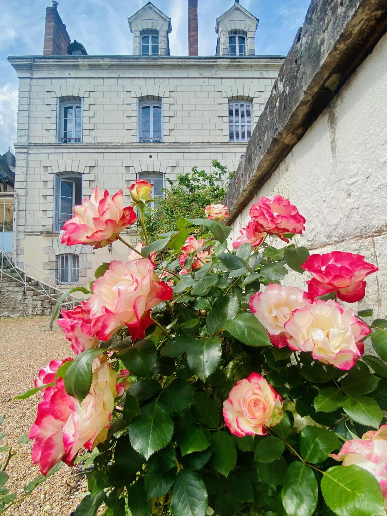 Maison Adrienne Saint-Aignan  Luaran gambar